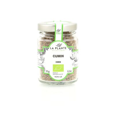 Comino orgánico 35 g*