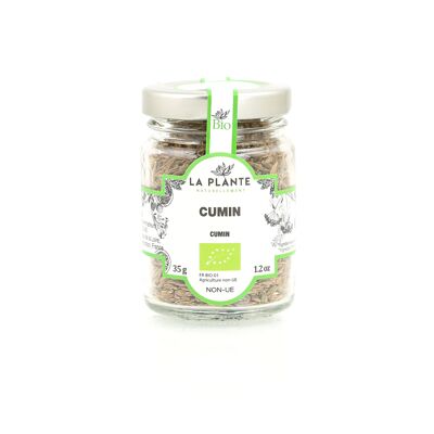 Organic Cumin 35 g*