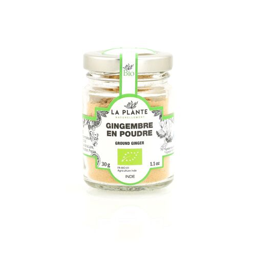 Gingembre en poudre Biologique 30 g*