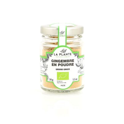 Organic ginger powder 30 g*