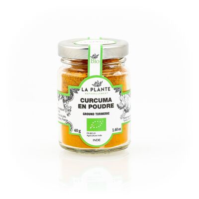 Polvo de cúrcuma orgánico 40 g*