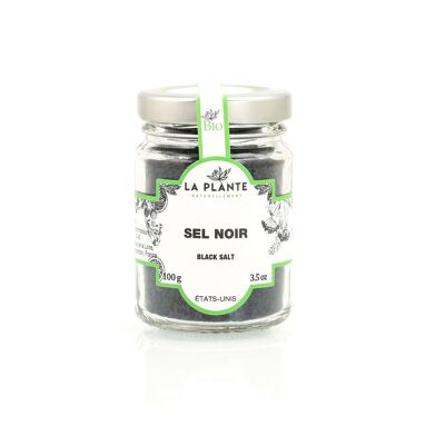 Sel noir 100 g