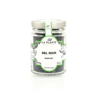 Sel noir 100 g 1