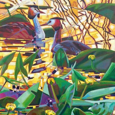 Great Crested Grebes with Yellow Water Lilies and Banded Demoiselles