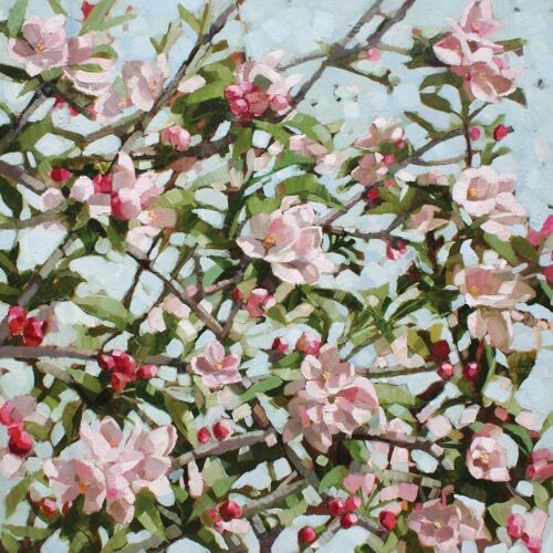 NEW: Apple Blossom - 1xNotecard Pack