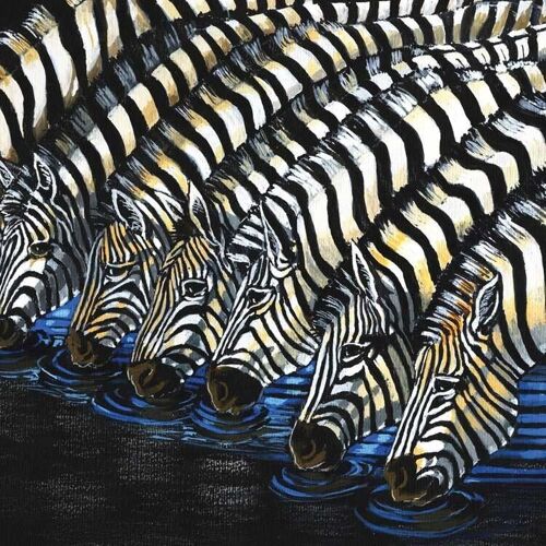 Zebras Drinking