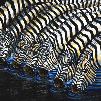 Zebre che bevono