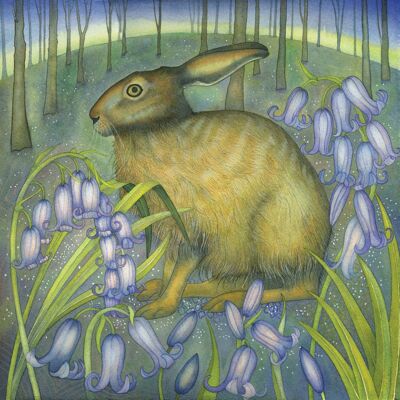 Der Bluebell-Hase