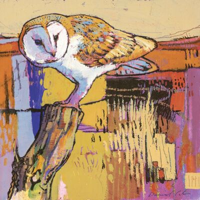 Barn Owl - board