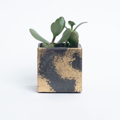 Concrete pot for indoor plant - Anthracite concrete & Golden patina