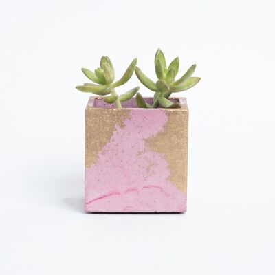 Concrete pot for indoor plant - Pink concrete & Golden patina