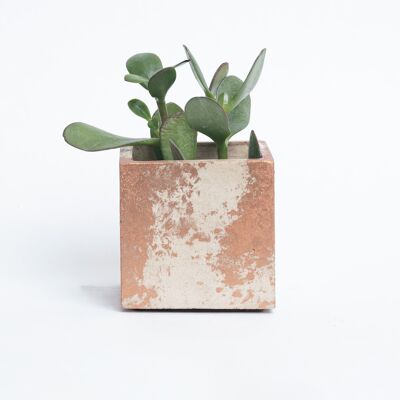 Concrete pot for indoor plant - Beige Concrete & Copper Patina