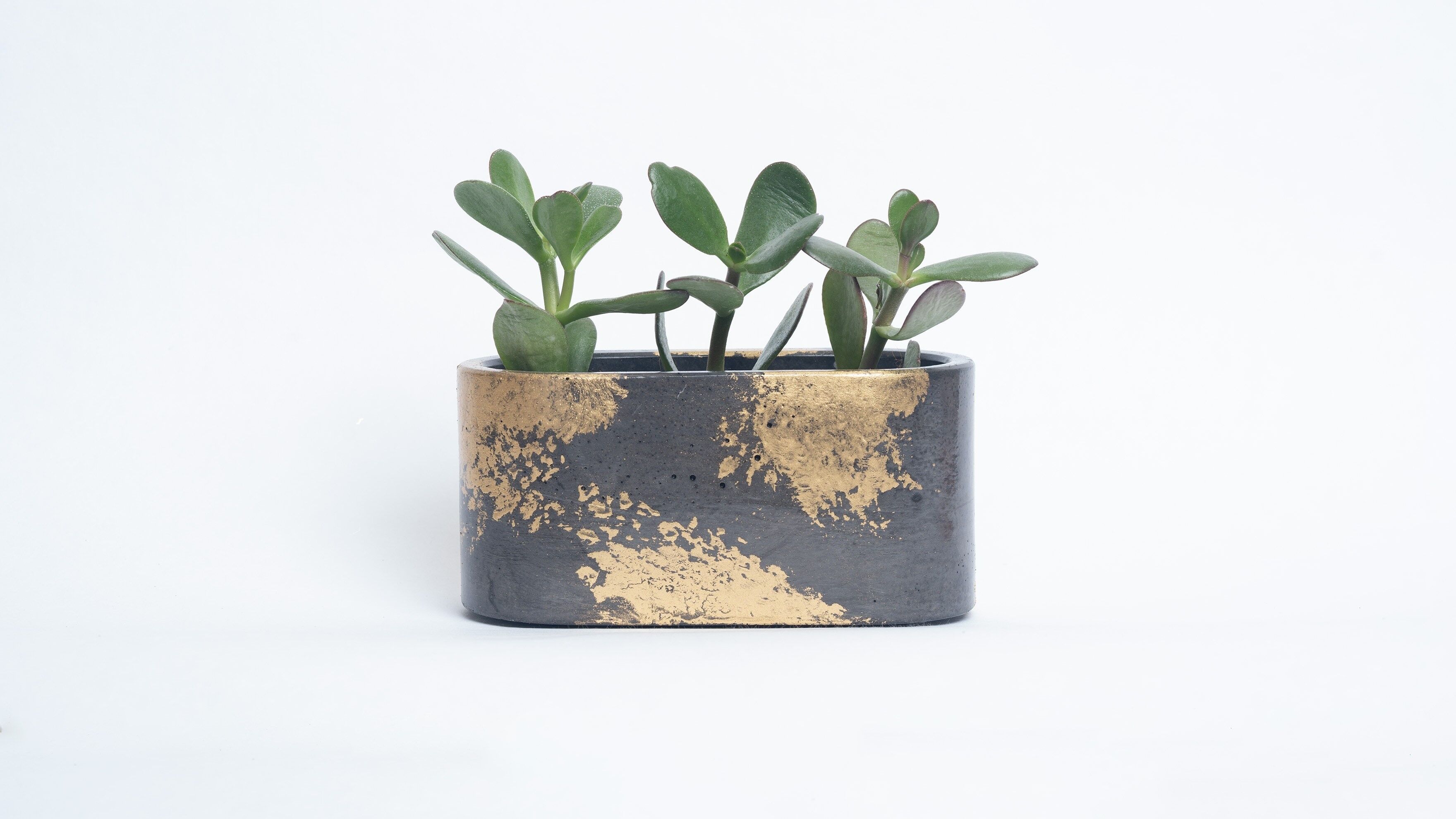 Fioriera piccola in cemento patinato per piante da interno - Calcestruzzo antracite e patina dorata