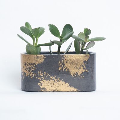 Fioriera piccola in cemento patinato per piante da interno - Calcestruzzo antracite e patina dorata