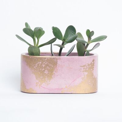 Macetero pequeño de hormigón patinado para plantas de interior - Pink Concrete & Golden Patina