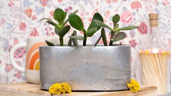 Petite jardinière en béton patiné pour plantes d'intérieur - Béton Gris & Patine Argentée 2