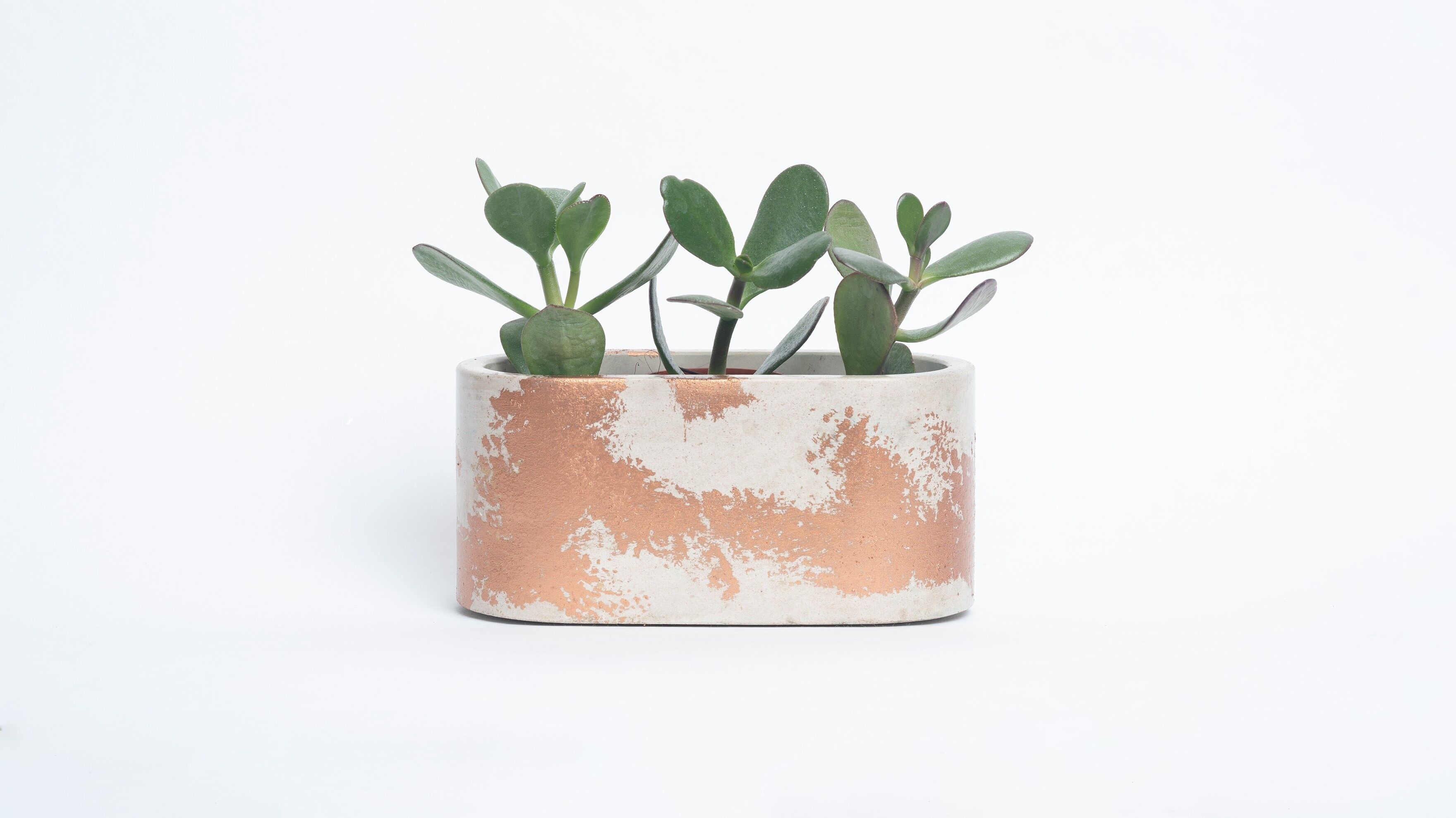 Piccola fioriera in cemento patinato per piante da interno - Beige Concrete & Copper Patina