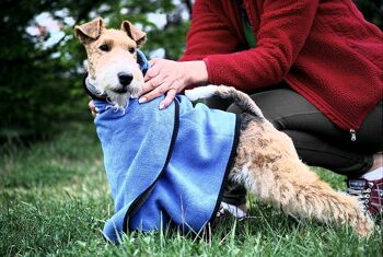 Serviette pour chien en microfibre Bleu/Gris 3