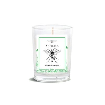 Scented candle - Summer garden - Peppermint - 45h - 180g