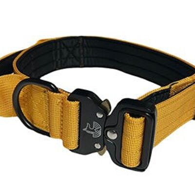 Mustard Yellow Collar Leash Set - XL