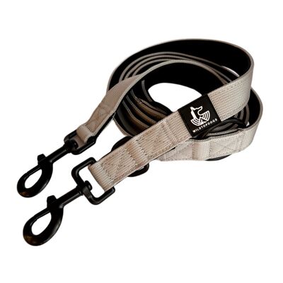 Gray Anchor 2m multiposition leash