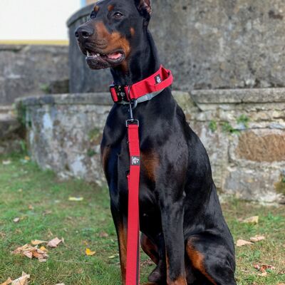 Burgundy Collar Leash Set - XL