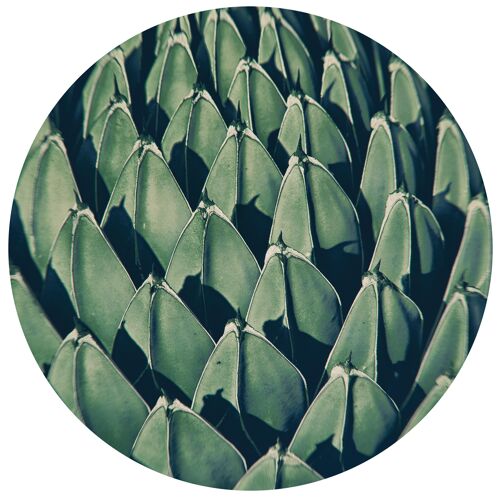 TONDOS "Green 10" 20 cm (d) x 6 mm (h)