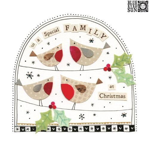 Special Family Christmas - Fiesta