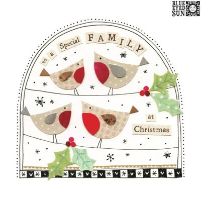 Especial Familia Navidad - Fiesta