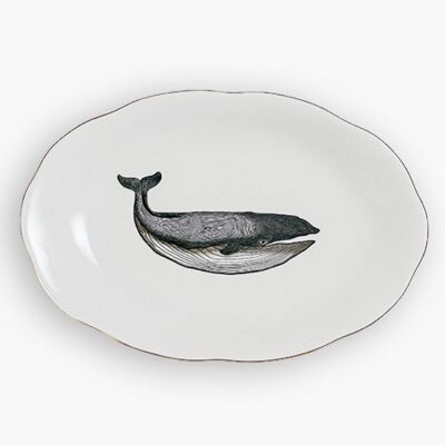 WHALE TRAY