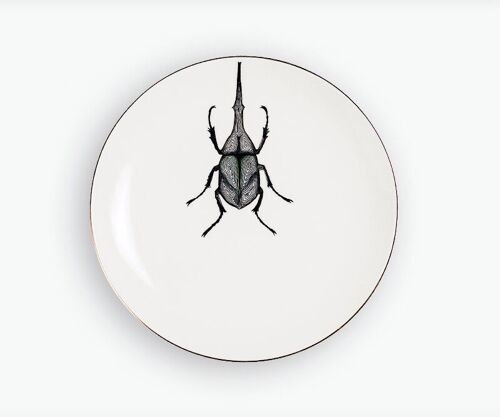 Plato llano escarabajo hercules