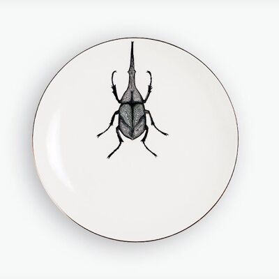 Plato llano escarabajo hercules