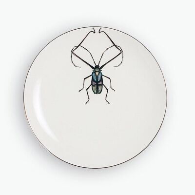 ASSIETTE PLATE HARLEQUIN BEETLE