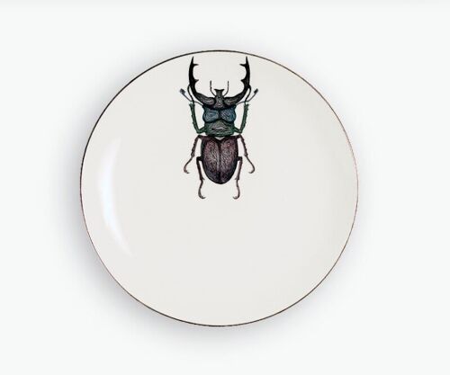 Plato llano escarabajo ciervo
