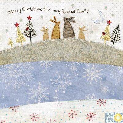 Family Christmas - Enchantment