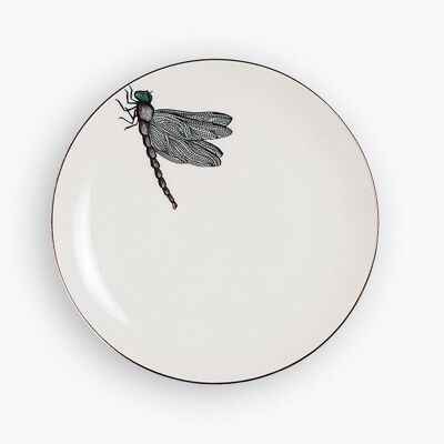 FLAT PLATE AFRICAN DRAGONFLY