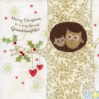 Granddaughter Christmas - Enchantment