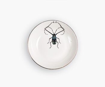 ASSIETTE PROFONDE HARLEQUIN BEETLE