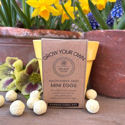 Cultivez votre propre kit de pot de fleurs sauvages - Mini œufs