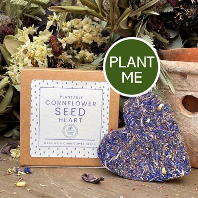 Plantable Cornflower Seed Bomb Heart Gardening Gift