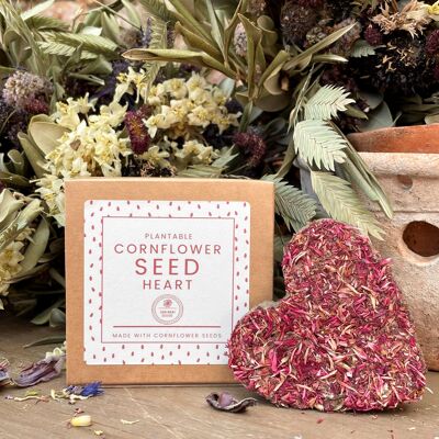Seed Bomb Heart Gift realizzato con semi di fiordaliso