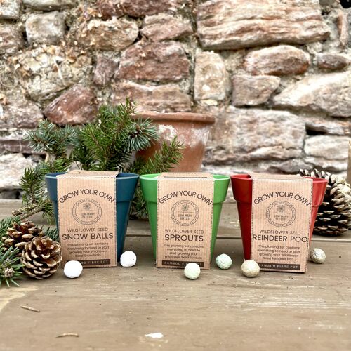 Grow Your Own Wildflower Seed Growing Set | Christmas Gift for Gardeners