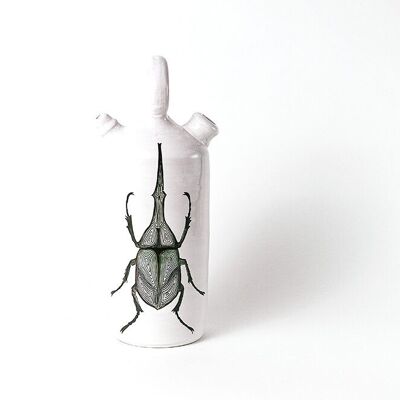 Botijo escarabajo hercules