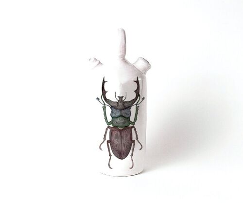 Botijo escarabajo ciervo