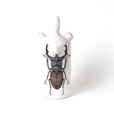 Botijo escarabajo ciervo