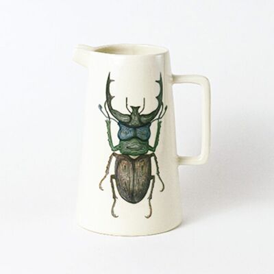 DEER BEETLE PITCHER