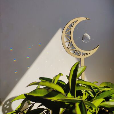 LA LUNE Suncatcher to plant in wood and glass crystal
