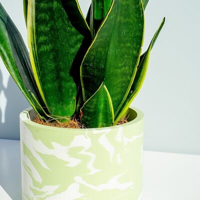 Design fatto a mano in vaso per piante in marmo verde salvia e bianco Jesmonite - Fioriera fatta a mano in resina ecologica