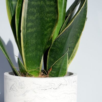 Pot de fleurs en marbre Jesmonite fait à la main Design monochrome blanc et noir - Jardinière en résine écologique faite à la main