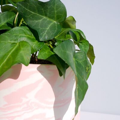 Conception de pot de plante en marbre rose et blanc Jesmonite fait à la main - Jardinière en résine écologique faite à la main